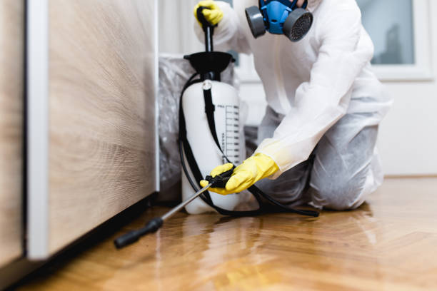 Professional Pest Control in North Logan, UT
