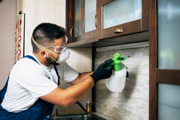  North Logan, UT Pest Control Pros