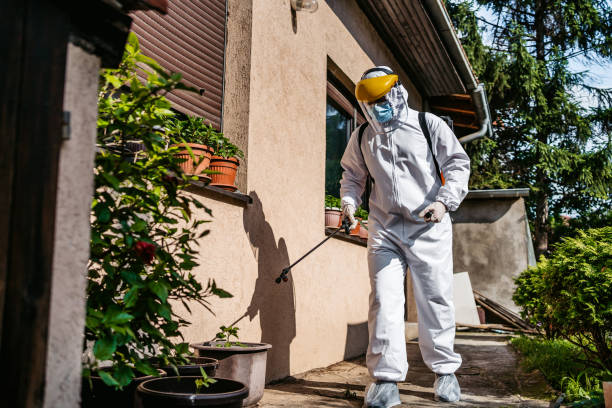 Best Affordable Pest Control Services  in North Logan, UT
