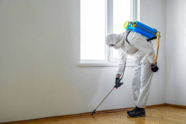 Wildlife Control Services in North Logan, UT