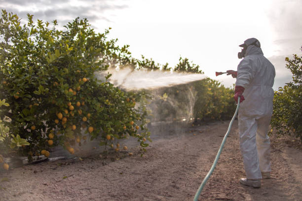 Best Flea Control Services  in North Logan, UT