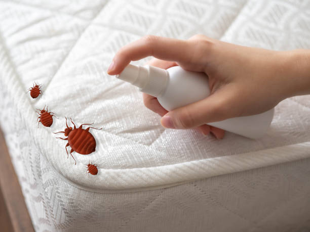 Professional Pest Control in North Logan, UT