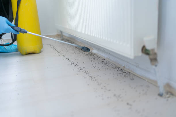 Best Ant Control Services  in North Logan, UT