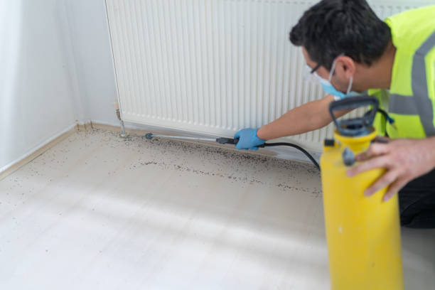 Best Local Pest Control Services  in North Logan, UT