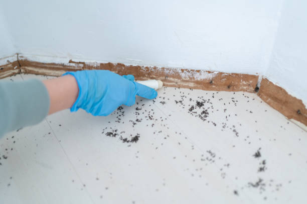 Best Residential Pest Control  in North Logan, UT