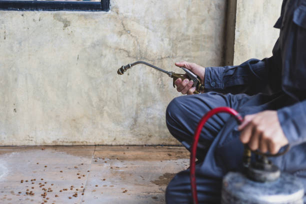 Best Commercial Pest Control Services  in North Logan, UT